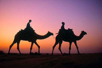 Rajasthan Tours