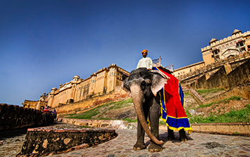 Same Day Jaipur Tour