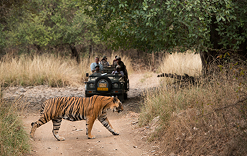 Golden Triangle With Ranthambore Tour